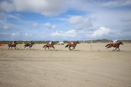 horses Claddaghduff